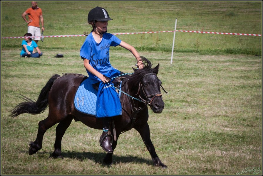 Mounted Games 278